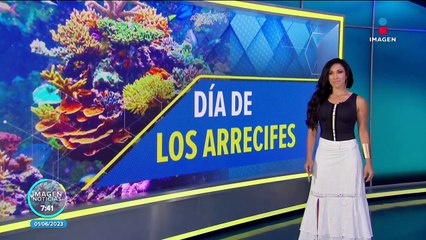 Arrecifes de coral, ¿qué son y por qué son importantes?