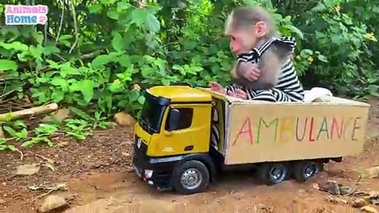 Farmer_BiBi_obedient_take_care_of_her_friends(360p)