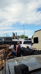 Скачать видео: Megasaurus Sighting at BC Ferries Terminal