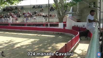 2023 05 27 Cavalini 024