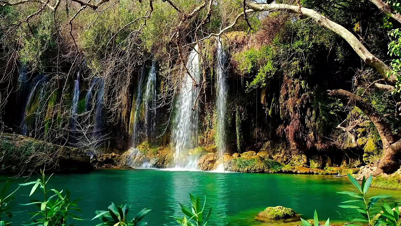 Nature Short Part - 10