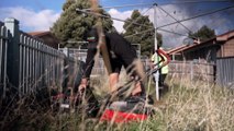 Tasmanian business mows lawns for free amid rising cost of living