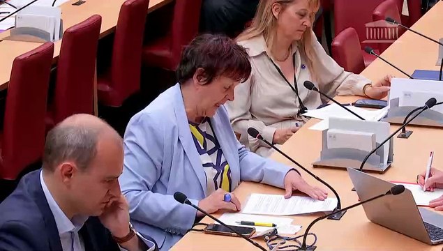 Commission des affaires économiques et commission des Affaires européennes : M. Thierry Breton, commissaire européen au marché intérieur - Jeudi 1 juin 2023
