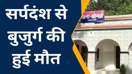 बस्ती: घास में छुपा था काल,जैसे ही पहुंचा बुजुर्ग सांप ने काटकर सुलाया मौत की नींद