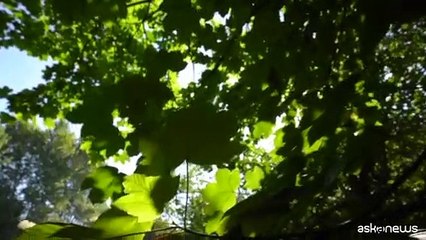 "Passare dal mito dell'abbondanza a un'economia dell'abbastanza"