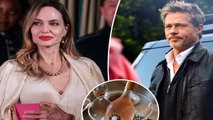 EXCLUSIVE: Sour grapes! Brad Pitt claims 'vindictive' Angelina Jolie secretly plotted to sell off her share of his beloved French vineyard Miraval to 'Russian oligarch' to 'severely damage' him and 'enrich herself' as payback for bitter custody battle
