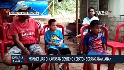 Monyet Liar Di Kawasan Benteng Keraton Serang Anak-Anak