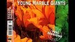 Young Marble Giants - bootleg John Peel Sessions 1980 (1991)