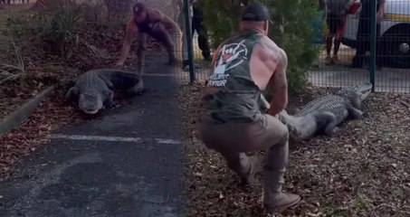 MMA dövüşçüsü Mike Dragich'in, ilkokulun önündeki timsahla mücadelesi böyle görüntülendi