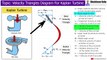 How to Draw Velocity Triangles Diagram For Kaplan Turbine | Fluid Mechanics | Shubham Kola