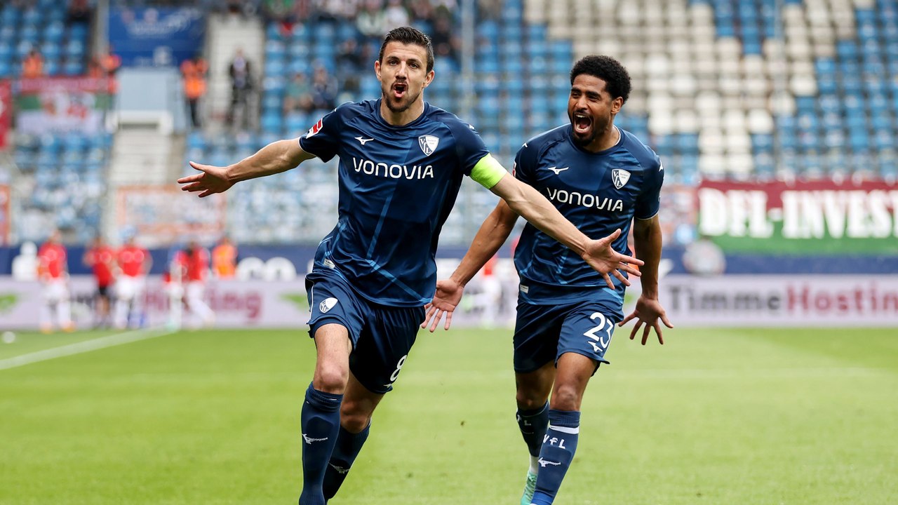 Intelligenz und Waldläufe: Was Losilla so wertvoll macht