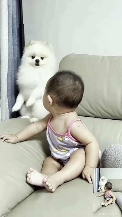 Cute baby abd dog