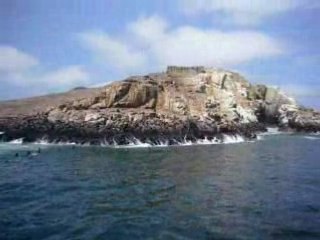 Islas Palomino