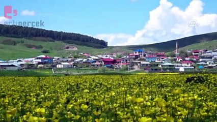 Ardahan, doğanın renkleriyle bezendi