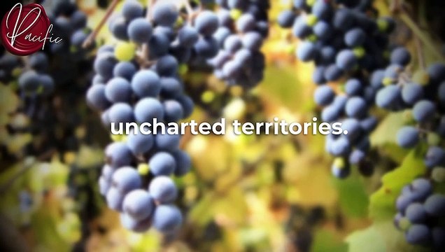 Dr Joe Dispenza's Life Advice Will Leave You SPEECHLESS - One of the Most Eye Opening Speeches