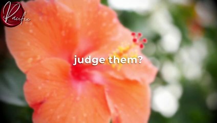 Joe Dispenza ： IT'S LIKE A MIRACLE, All Your Positive Energy Blockages Will Be Cleared In 3 days