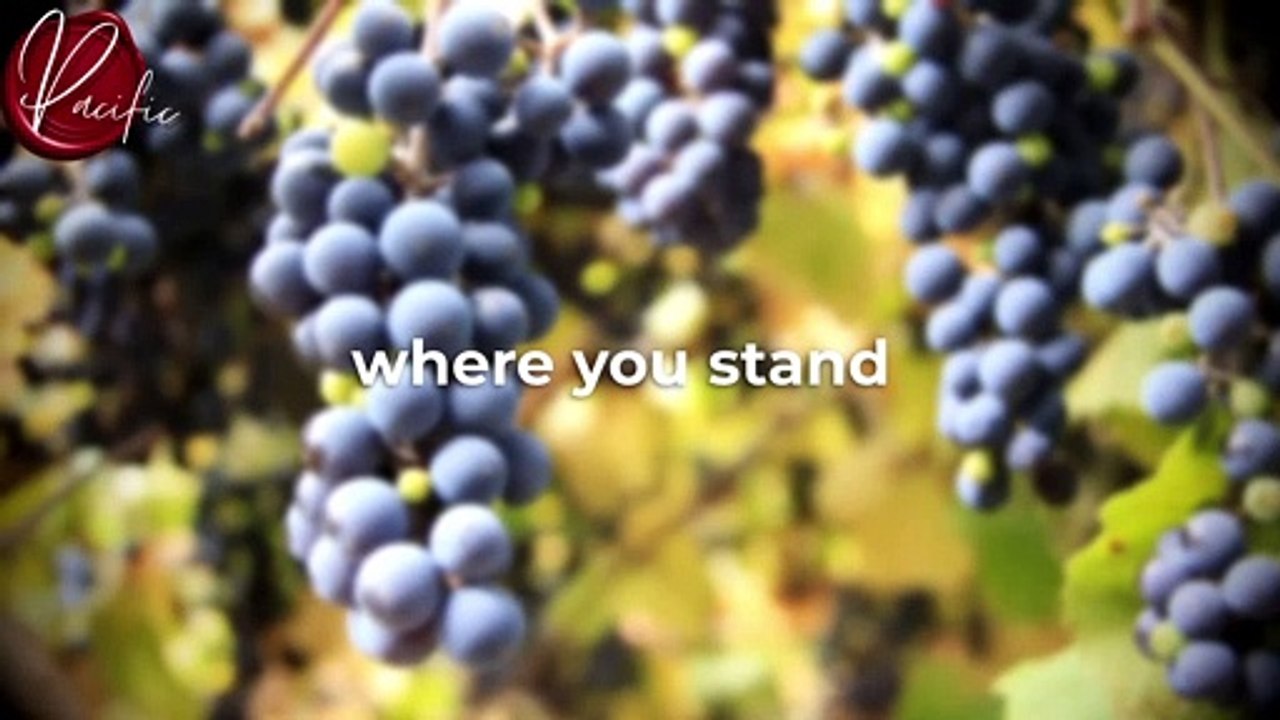 I Met 94 Billionaires … Here’s How You Manifest CRAZY AMOUNT OF Money And Abundance ｜ Joe Dispenza