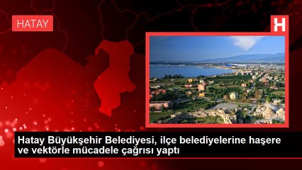Hatay Büyükşehir Belediyesi, ilçe belediyelerine haşere ve vektörle mücadele çağrısı yaptı