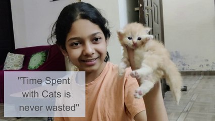 Cat deep meaning quotes