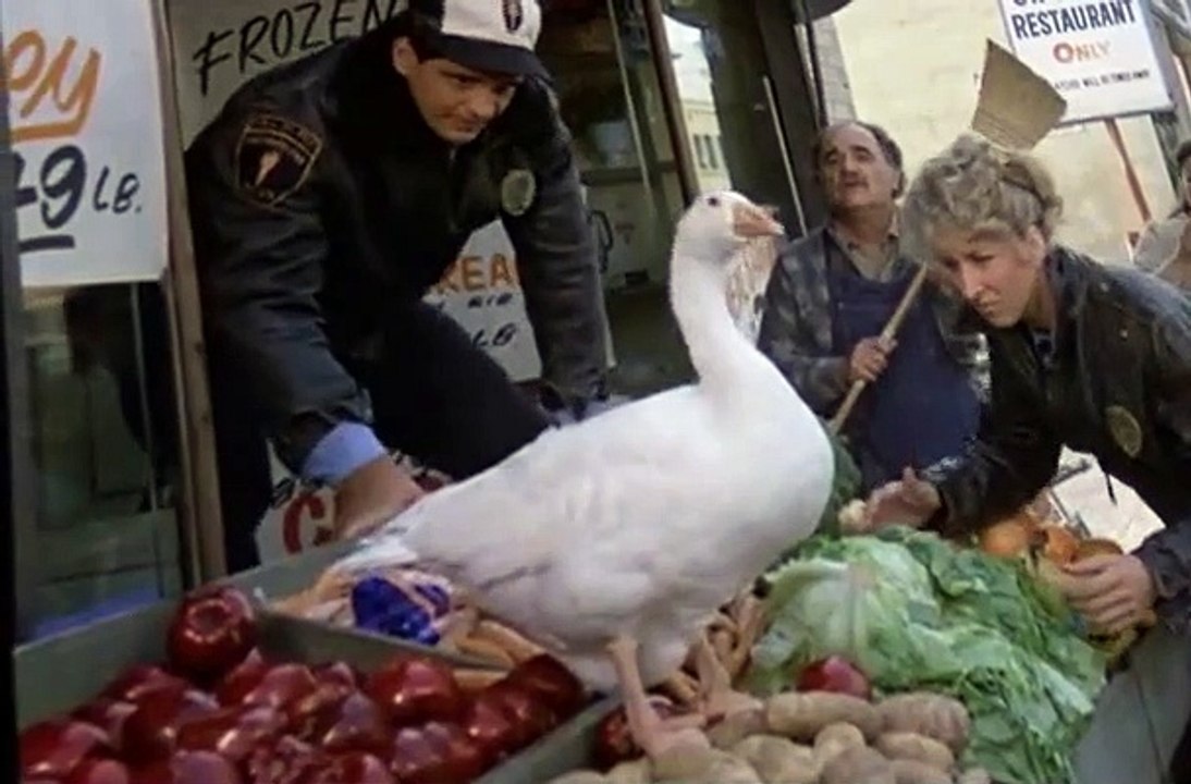 Hill Street Blues S04 E09
