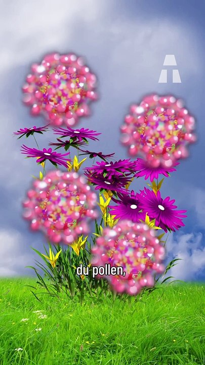 Ces Grains Microscopiques sont de Plus en Plus Présents dans l’Atmosphère ! 