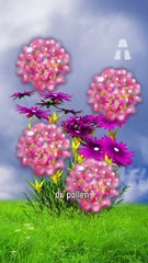 Ces Grains Microscopiques sont de Plus en Plus Présents dans l’Atmosphère ! 