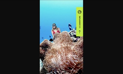 GEOaventure : que faire en cas de piqûre de méduse ?