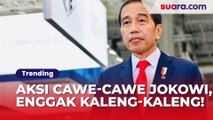 Menengok Aksi Cawe-Cawe Jokowi, Enggak Kaleng-kaleng!