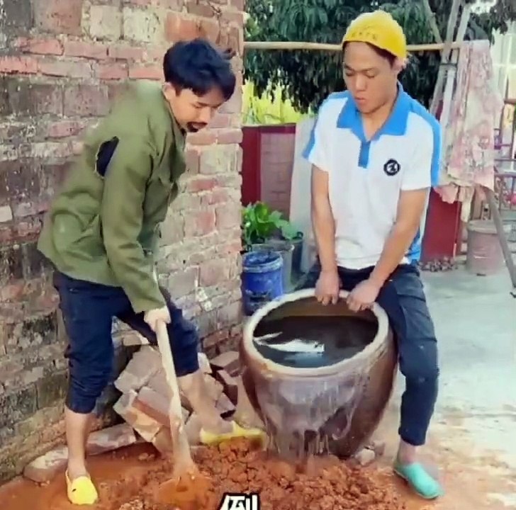 Viral funny clips