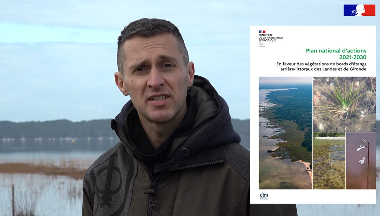 Plan National d'Actions #6 - Les végétations des bords d'étangs arrière-littoraux des Landes et de Gironde