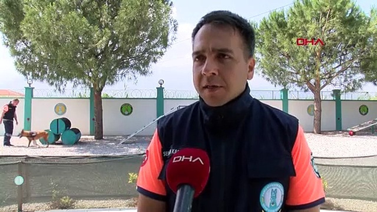 Un chien abandonné se transforme en chien de recherche de bombes