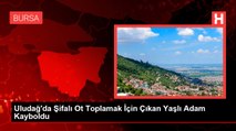 Uludağ'da Şifalı Ot Toplamak İçin Çıkan Yaşlı Adam Kayboldu