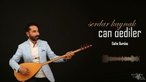Serdar Kaynak - Gelin Gardaş (Official Audio)