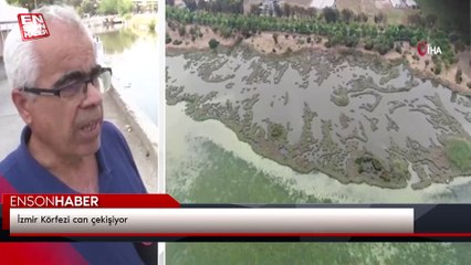 İzmir Körfezi can çekişiyor