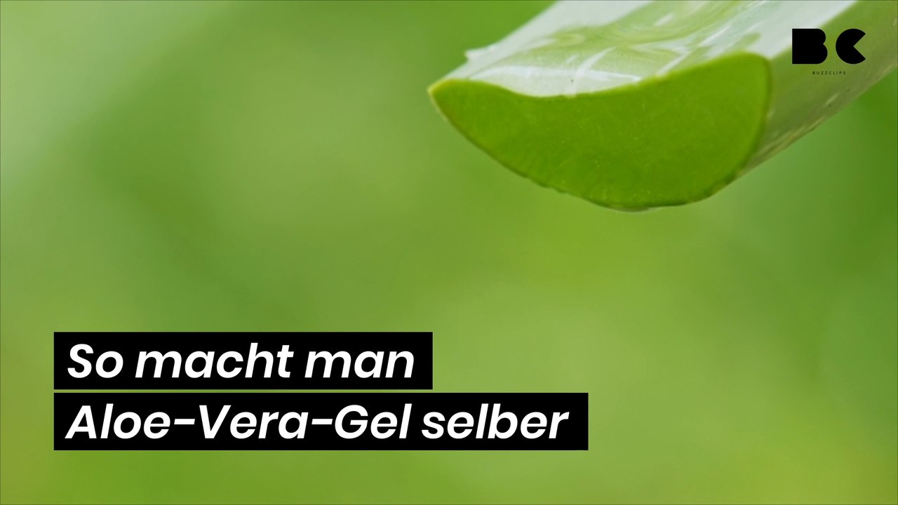 So macht man Aloe-Vera-Gel selber