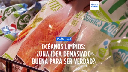 Limpiar los océanos: ¿una iniciativa demasiado buena para convertirse en realidad?
