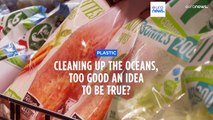 Cleaning up the oceans: Is it too little, too late?