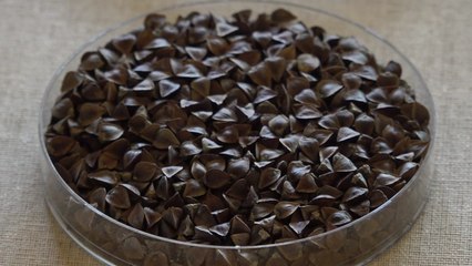 날씨 변덕 강하고 수확 많은 '양절' 메밀 인기 / YTN