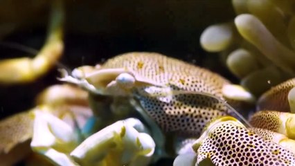 Upbeat Music for Your Fitness Regimen Top Models, Music video 2023