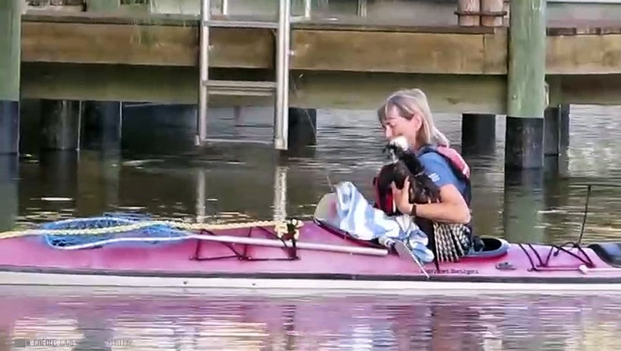 Diese Tiere baten Menschen um Hilfe!