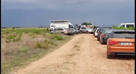 Operativo de Búsqueda: Estrategias y Consejos para Encontrar lo que Necesitas 🔍