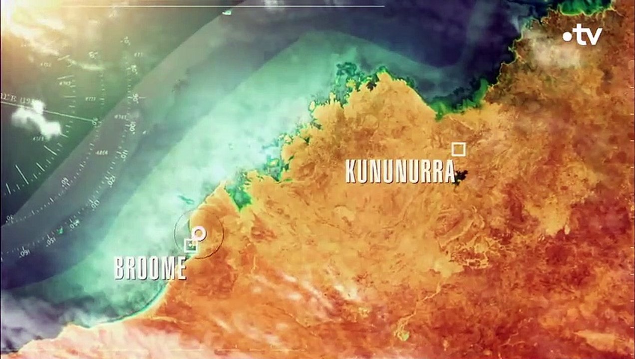 Un bébé wallaroo recueilli dans un refuge australien - ZAPPING SAUVAGE