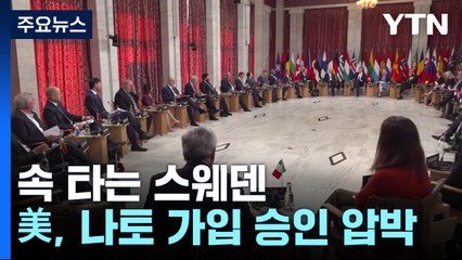 속 타는 스웨덴...美, 나토 가입 승인 압박 / YTN