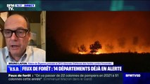 Incendies en Gironde l'été dernier: 