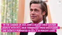 Brad Pitt Claims Angelina Jolie ‘Vindictively’ Sold His Share of Their Winery as Payback for Custody Battle
