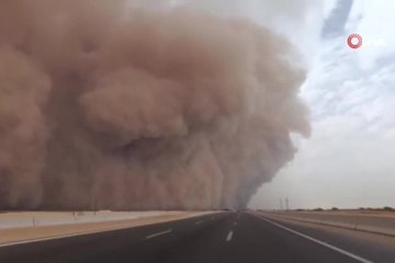 Kahire'de kum fırtınası! 1 ölü