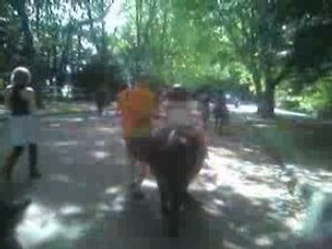 BALLADE A CHEVAL PARC