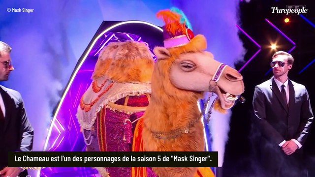 Mask Singer 5 - Le Chameau démasqué en finale et très ému, les enquêteurs étaient sur la bonne piste