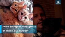 “Mal adoptante”, mujer acusa a integrante de Molotov de regresar gatitos adoptados