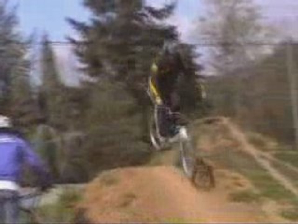 Dirtsection